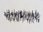 10214162168029267.jpg
