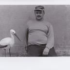 61