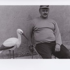 62